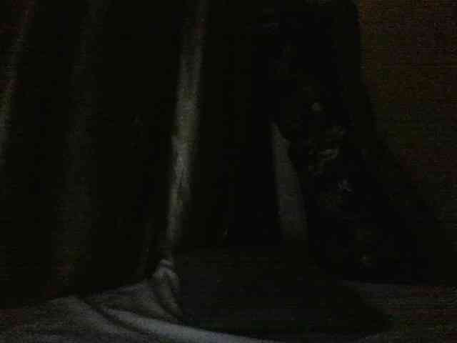 Evethegirl webcam
