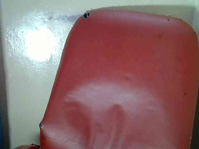 Nyangisexy1 webcam