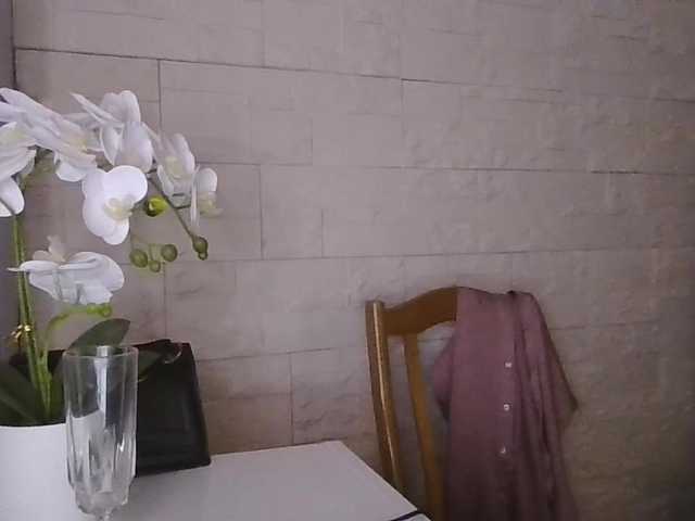 JuliaWetDream