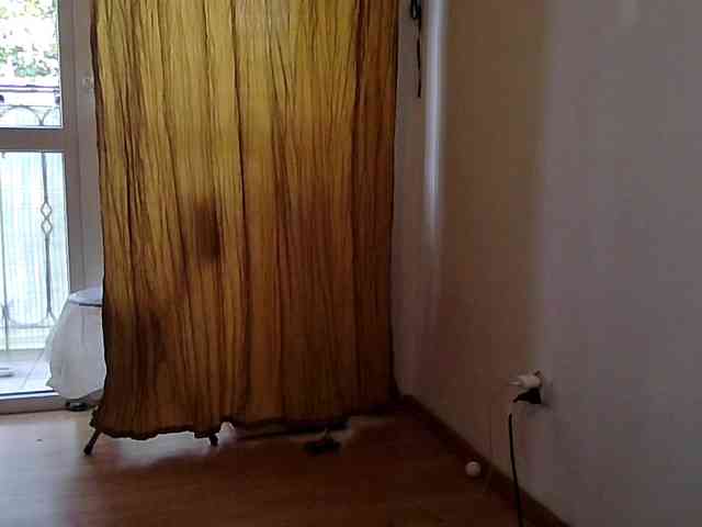 JuliaWetDream webcam