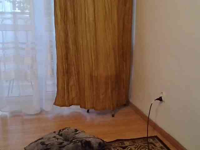 JuliaWetDream webcam