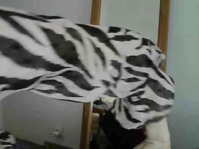 JuliaWetDream webcam