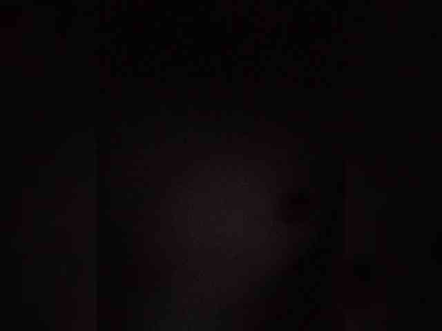 MarinaSay webcam