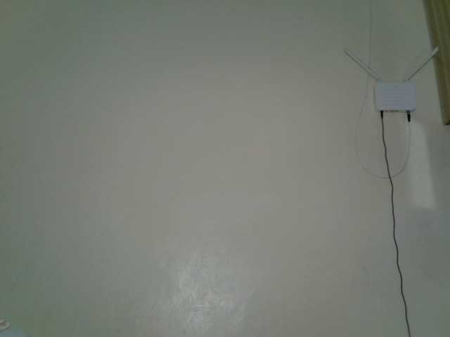 DASAH-1 live cam on BongaCams