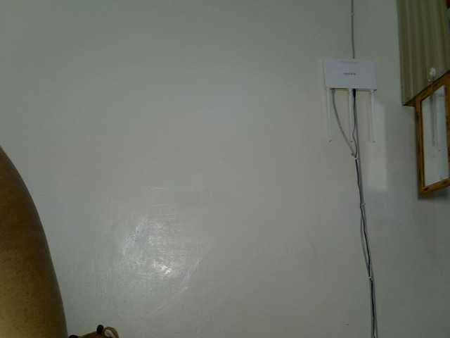 DASAH-1 live cam on BongaCams