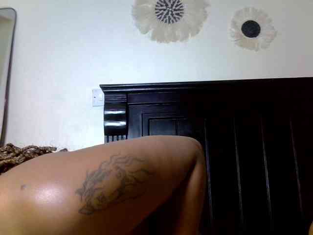 DASAH-1 webcam