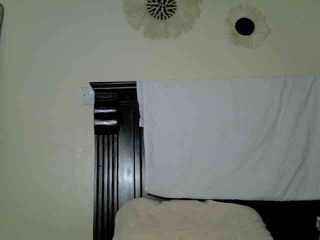 DASAH-1 webcam
