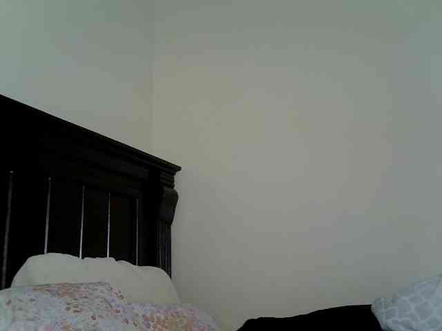 DASAH-1 webcam