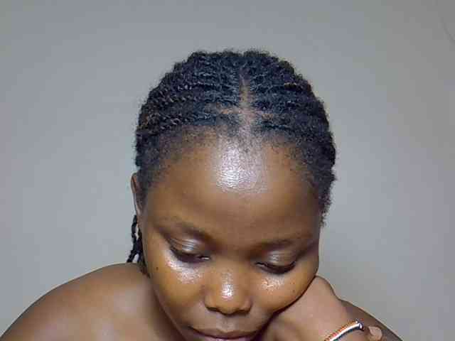 Model: DASAH-1
