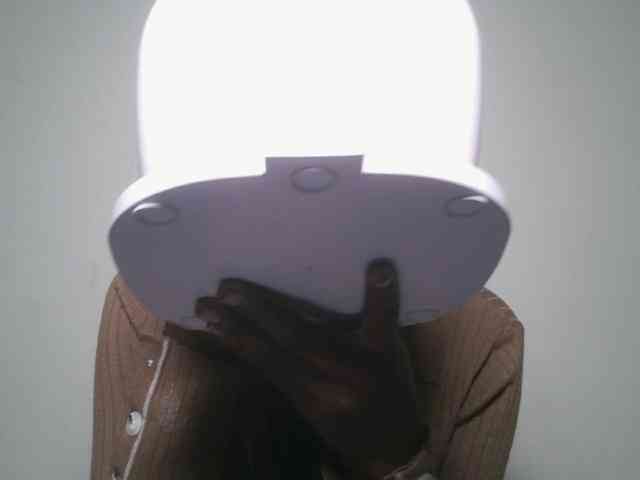 Boughie-birdy webcam