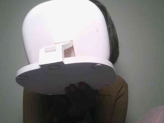 Boughie-birdy webcam