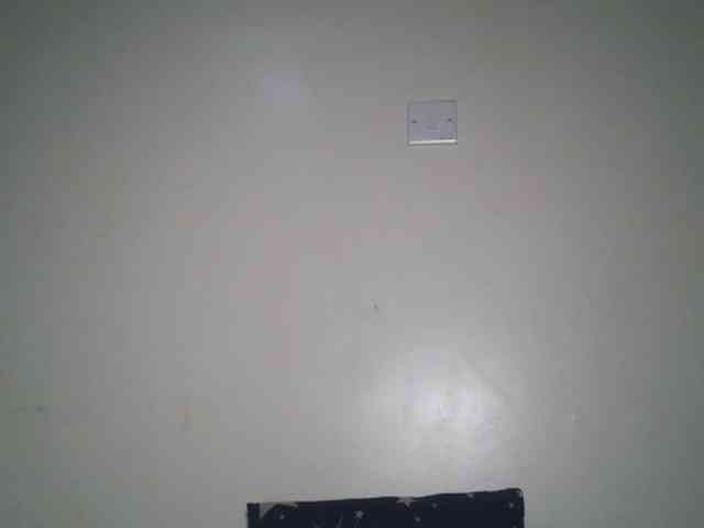 Boughie-birdy webcam