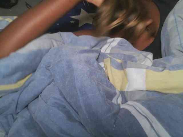 Boughie-birdy webcam
