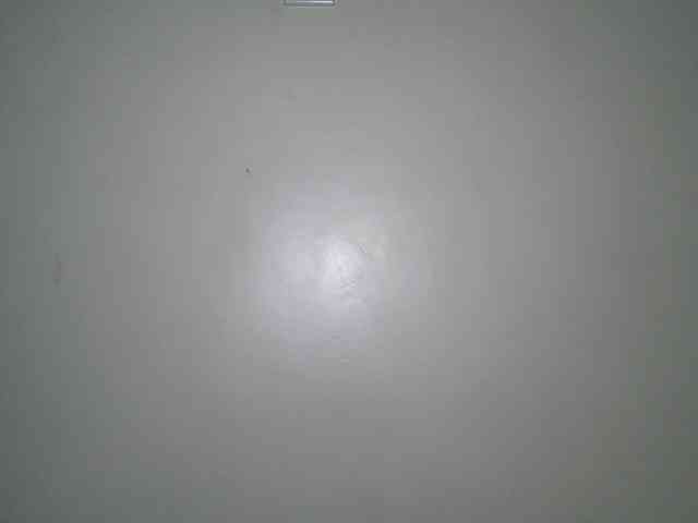 Boughie-birdy webcam