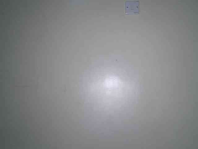 Boughie-birdy webcam