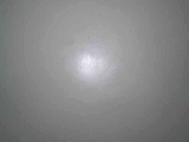 Boughie-birdy webcam