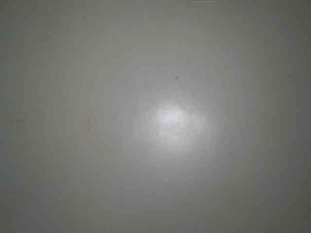 Boughie-birdy webcam