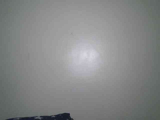 Boughie-birdy webcam