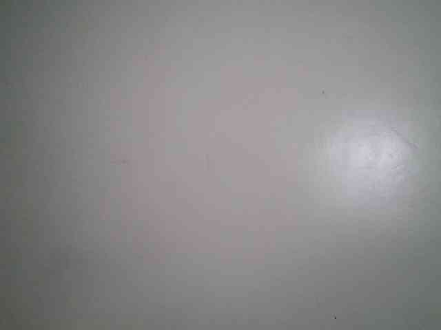 Boughie-birdy webcam