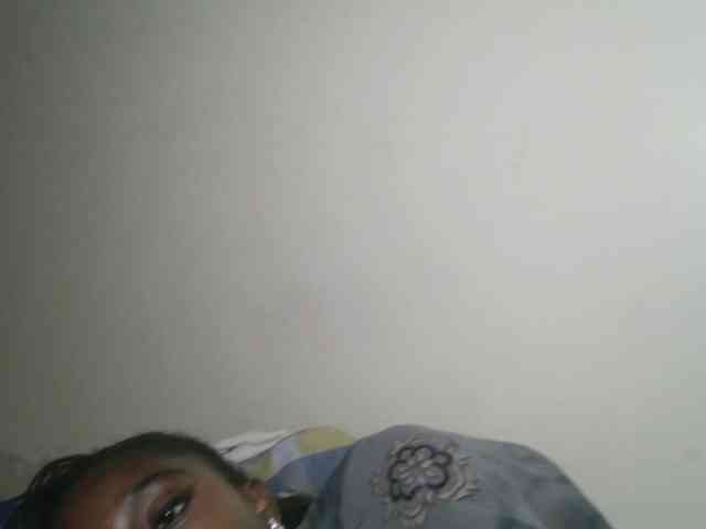 Boughie-birdy webcam