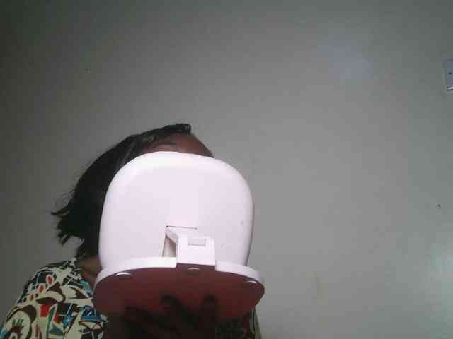 Boughie-birdy webcam