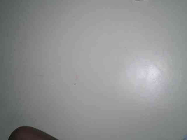 Boughie-birdy webcam