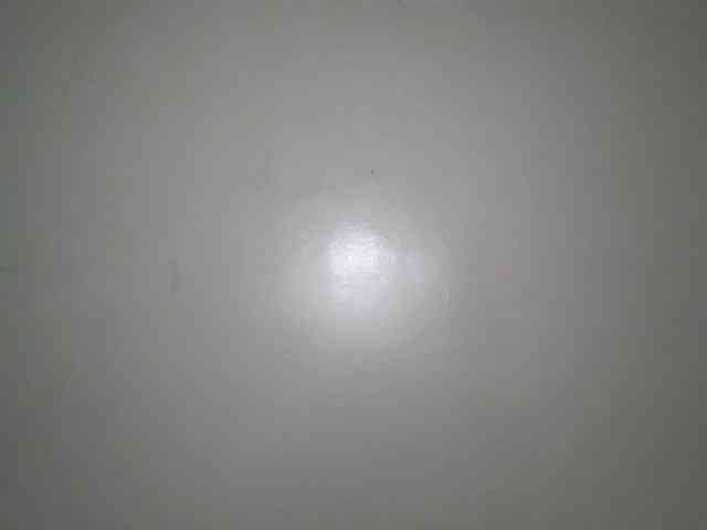 Boughie-birdy webcam