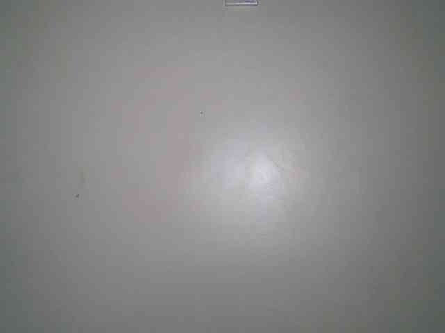 Boughie-birdy webcam