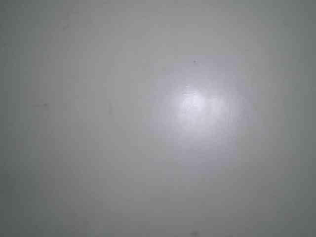 Boughie-birdy webcam