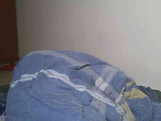 Boughie-birdy webcam