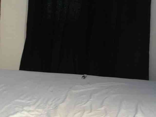 Crystal_Santa webcam