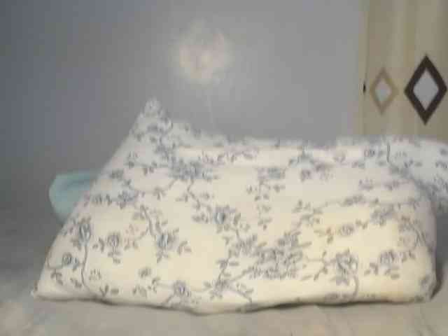Crystal_Santa webcam
