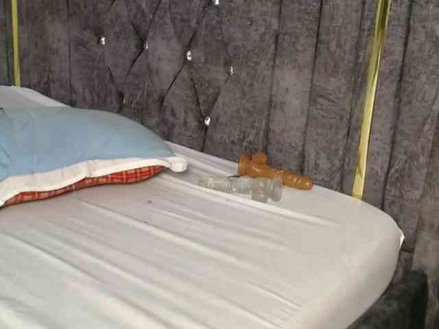 Crystal_Santa webcam