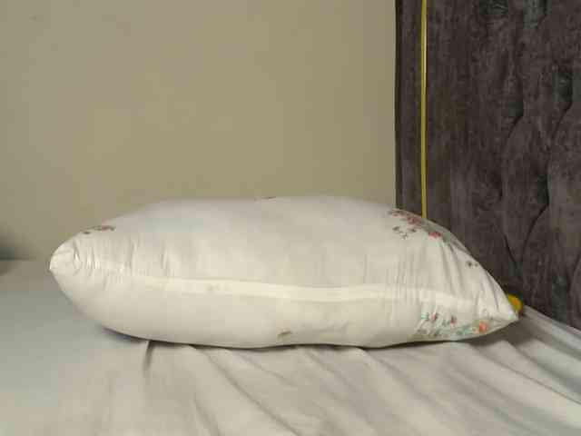 Crystal_Santa webcam