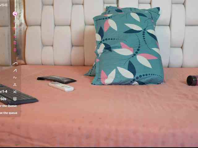 QuickHookup webcam