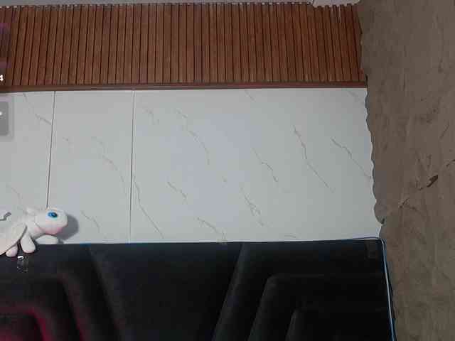 QuickHookup webcam