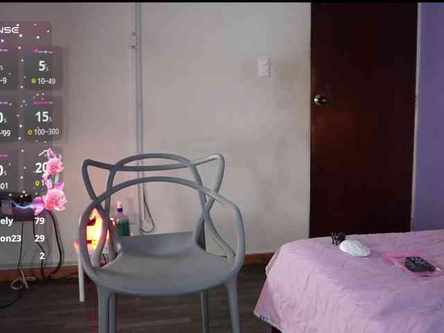 QuickHookup webcam