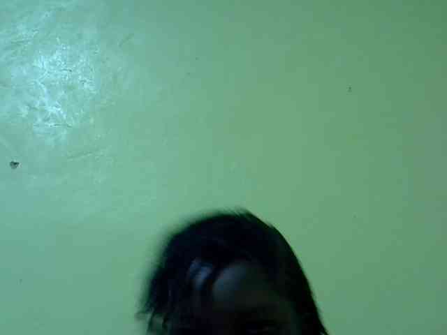 SASSY-Lissa webcam