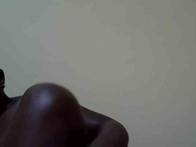 SASSY-Lissa webcam