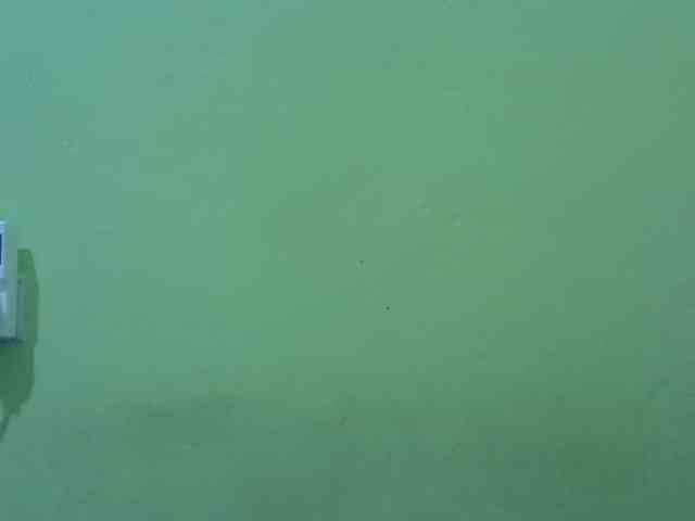 SASSY-Lissa webcam