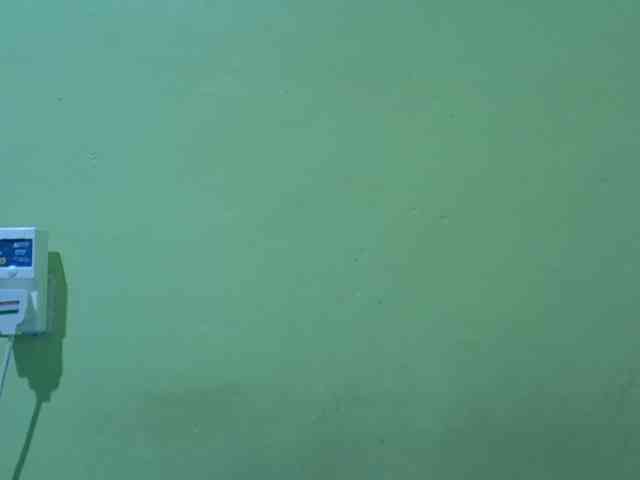 SASSY-Lissa webcam