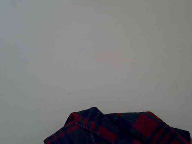 SASSY-Lissa webcam