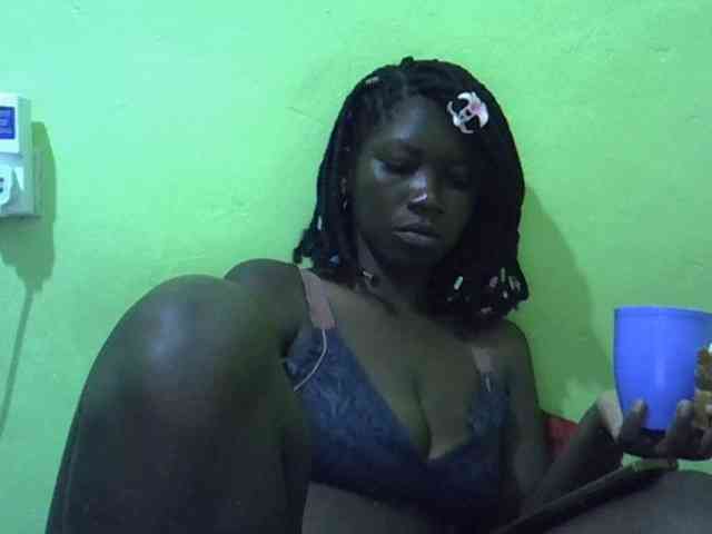 Model: SASSY-Lissa