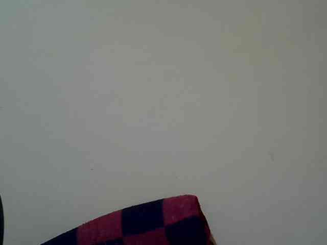SASSY-Lissa webcam