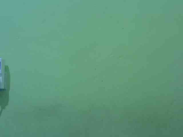 SASSY-Lissa webcam