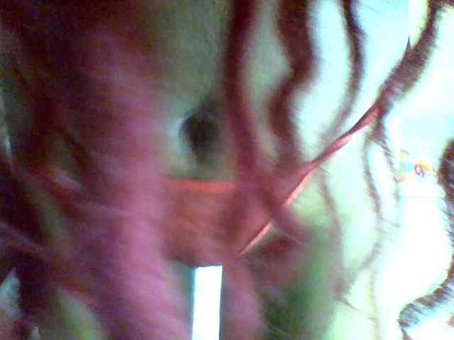 Luna-Noir webcam