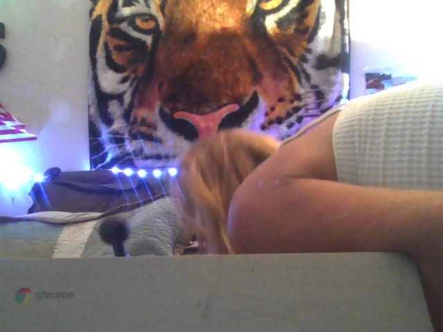 Springer007 live cam on BongaCams