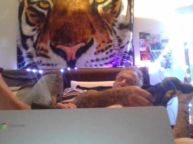 Springer007 live cam on BongaCams