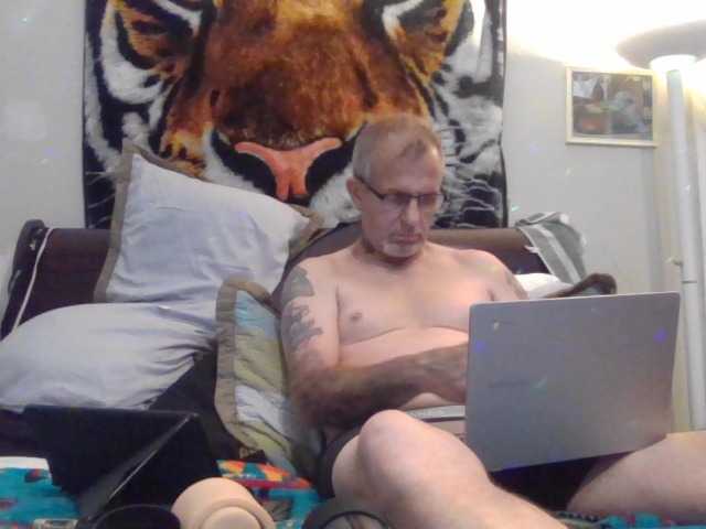 Springer007 live cam