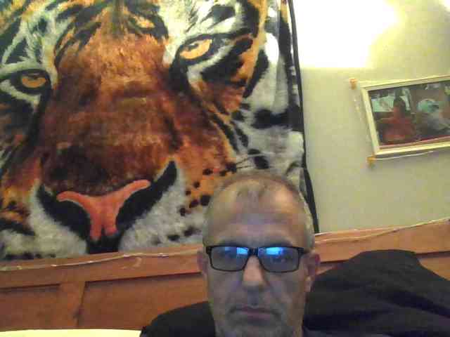 Springer007 webcam